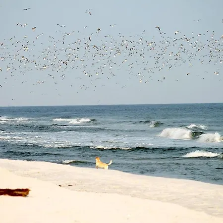 Beach'n'sea 1 *