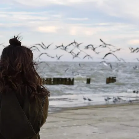 Beach'n'sea 1 * Grömitz