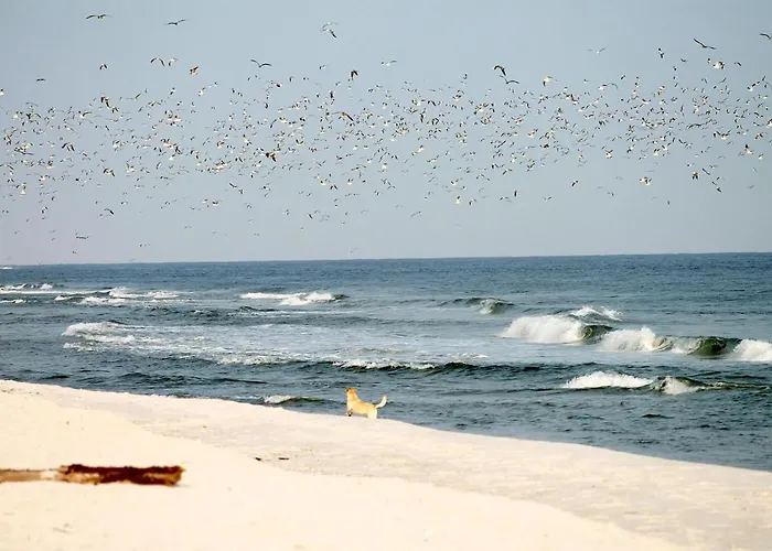 Beach'n'sea 1 *